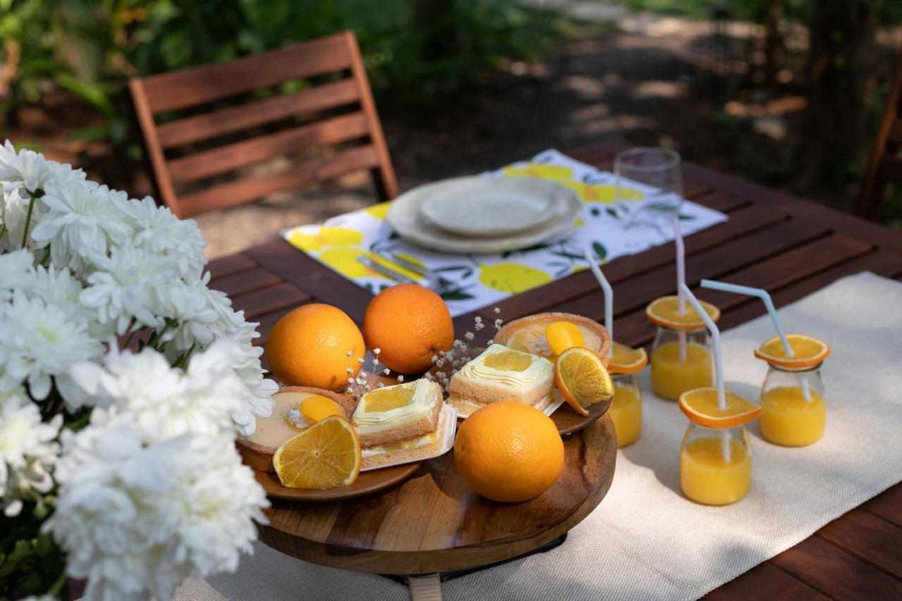 Stayvista At The Charcoal Villa Luxury Collection Alībāg Zewnętrze zdjęcie